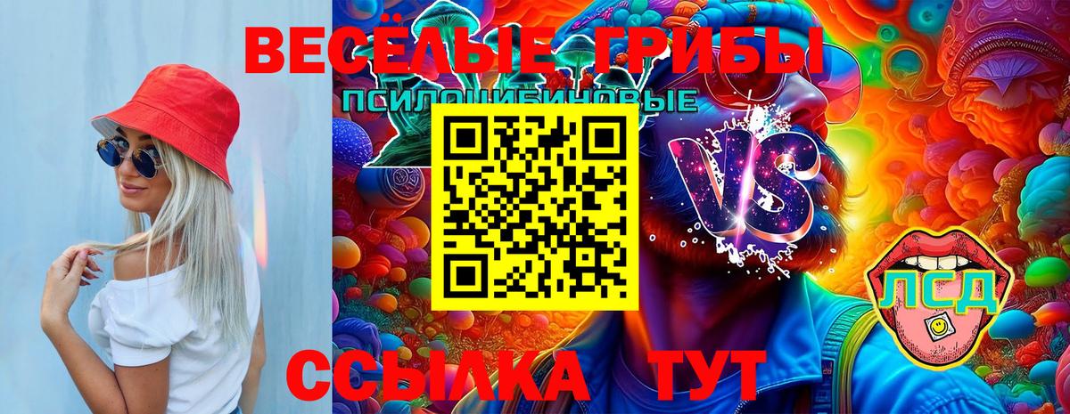 Псилоцибиновые грибы прущие грибы Лысьва